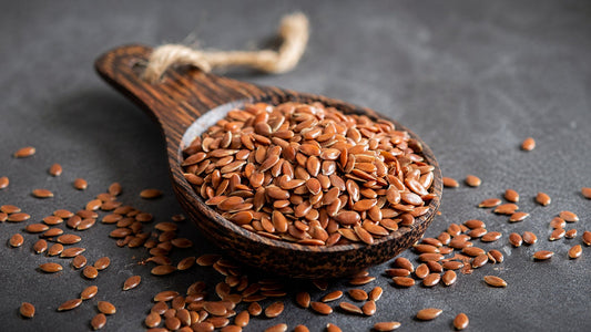 Chia Seeds vs Flax Seeds vs Pumpkin Seeds: Which Is Best for Daily Nutrition?