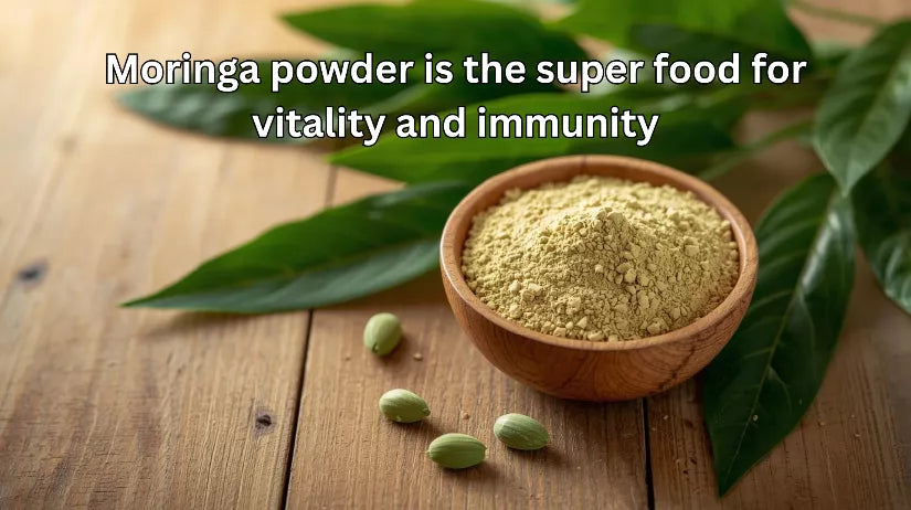 Moringa powder is the superfood for vitality and immunity